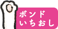 ボンドいちおし