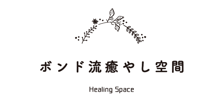 ボンド流癒やし空間